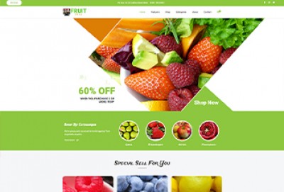 Online Fruits Shop Wordpress Theme